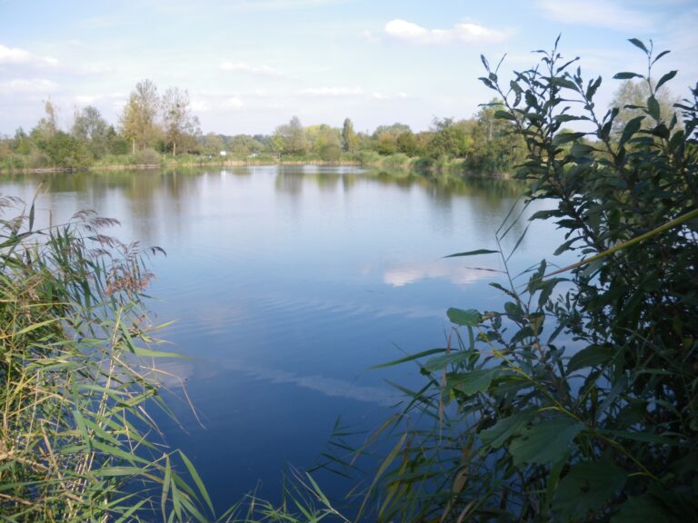 Etang Arc-en-Ciel : Juillet & Août – Toutes les pêches, tous les plaisirs !