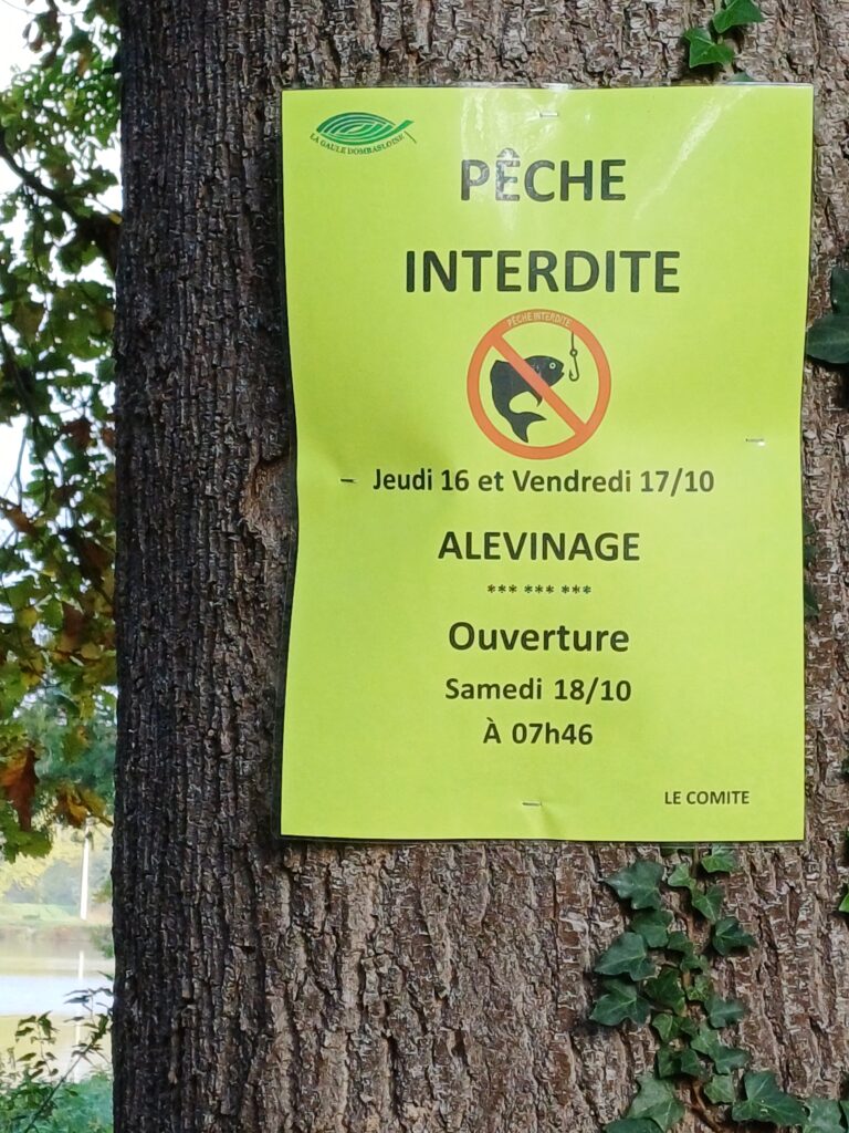 Alevinage – Pêche interdite les 16 et 17 octobre sur l’étang de Bayon 2