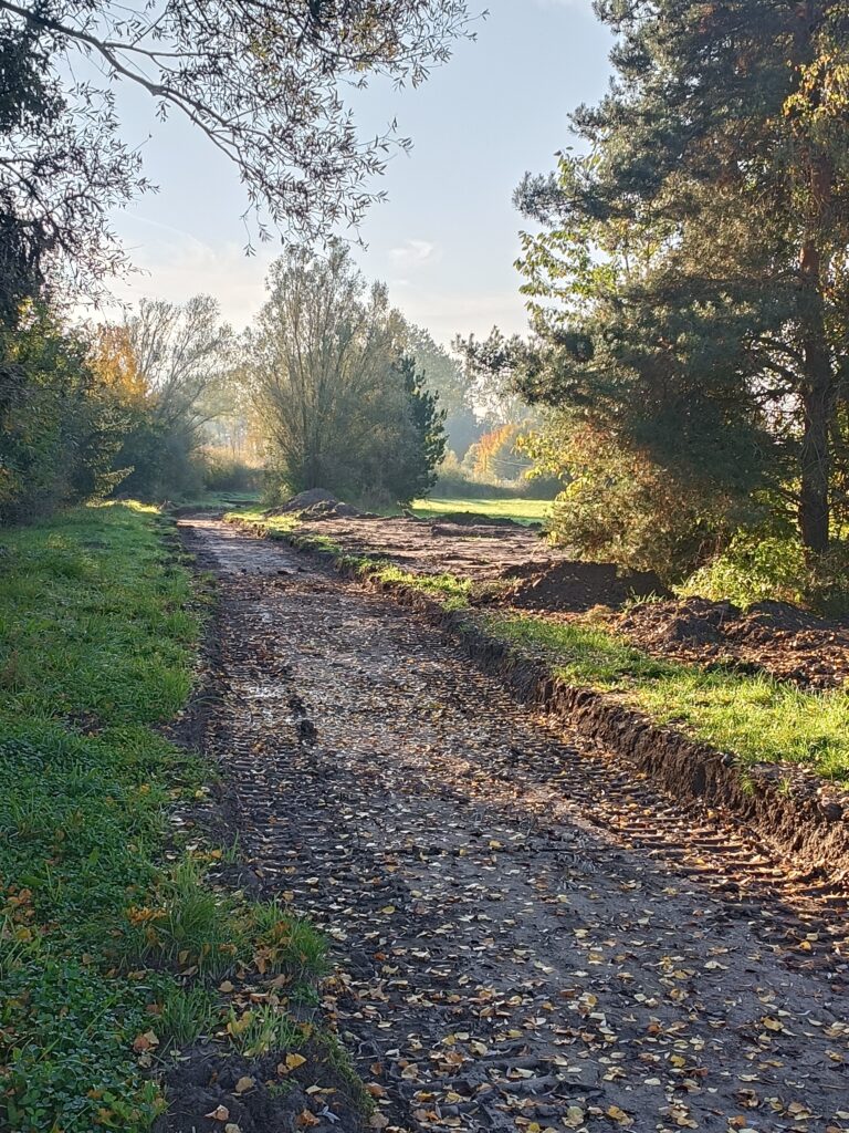 Main dans la main avec la nature : Les jeunes du lycée des métiers  créent un nouveau chemin pour l’étang « Petite Fin ».