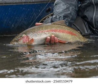 Ouverture de la Truite