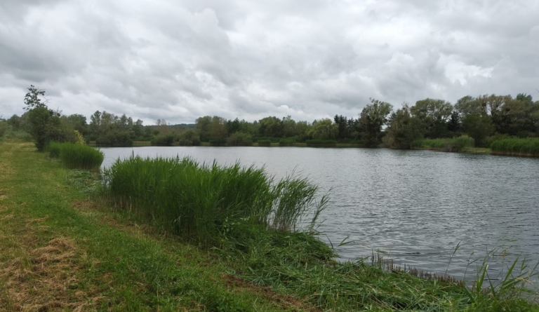 Des berges dégagées pour plus de confort à l&rsquo;étang Arc-en-Ciel.